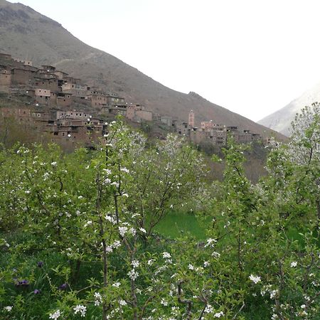 Gite Atlas Mazik Imlil  Exterior photo