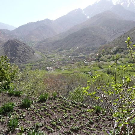 Gite Atlas Mazik Imlil  Exterior photo
