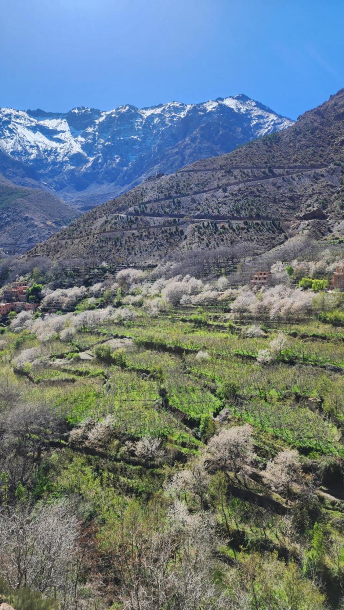 Gite Atlas Mazik Imlil  Exterior photo