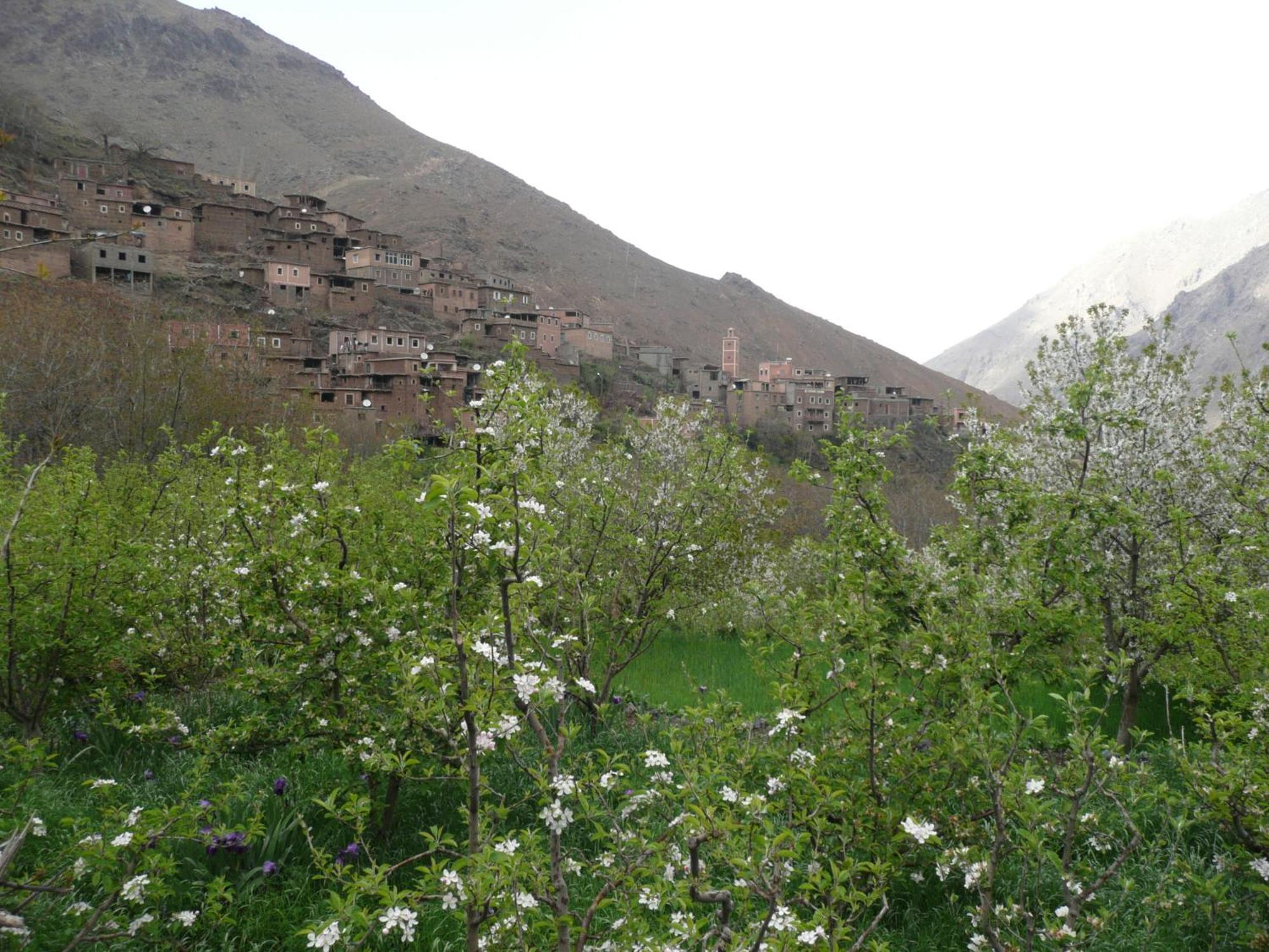 Gite Atlas Mazik Imlil  Exterior photo