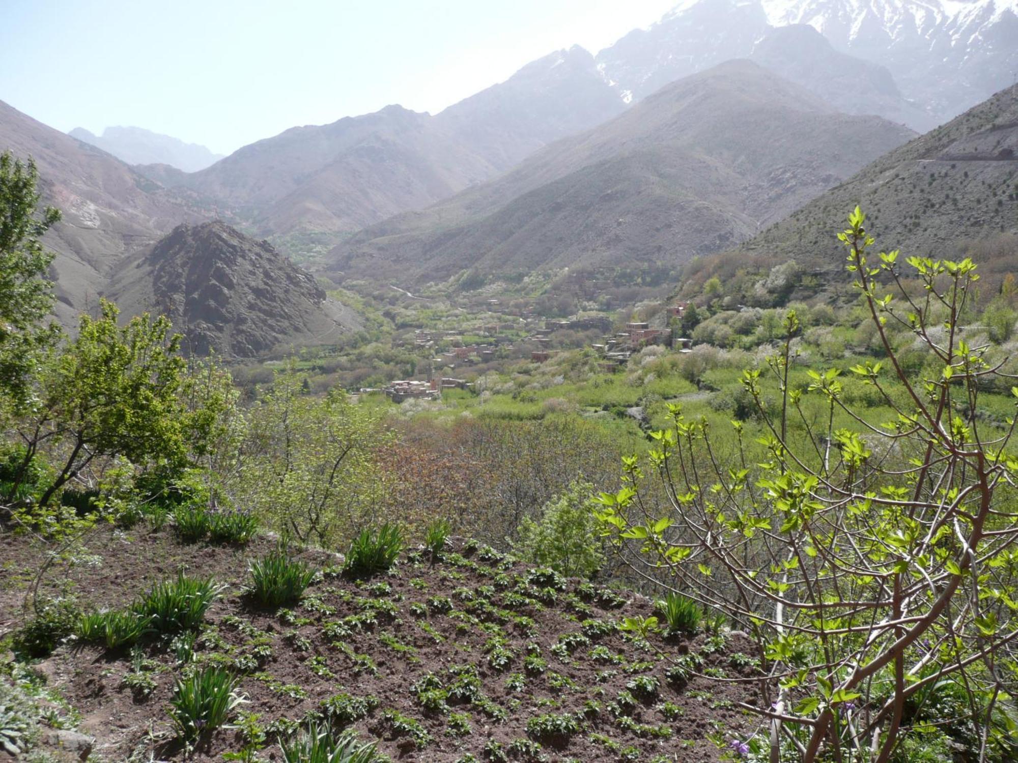 Gite Atlas Mazik Imlil  Exterior photo